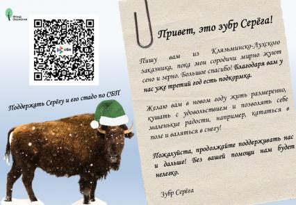 Письмо от зубра!